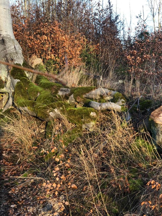 Апартаменты Am Mathildenbrunnen Klein Кведлинбург Экстерьер фото